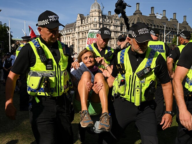 UK police arrest at least 365 people at Palestine Action protest in London - Al Jazeera